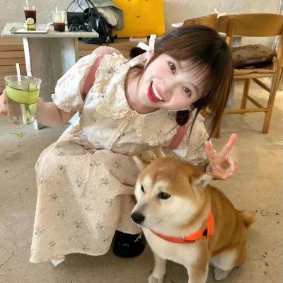神经侠侣粤语